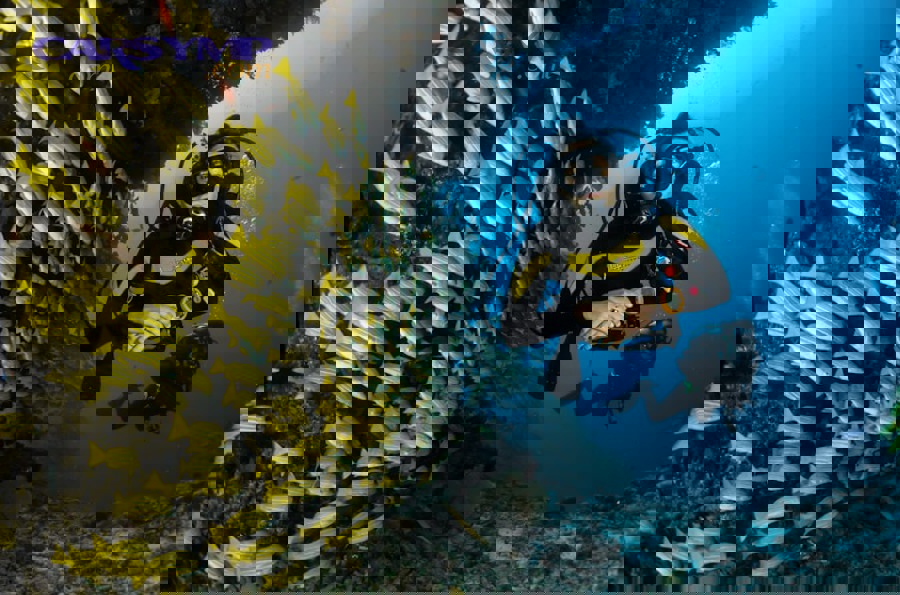 marine anchor chain showing heavy corrosion damage