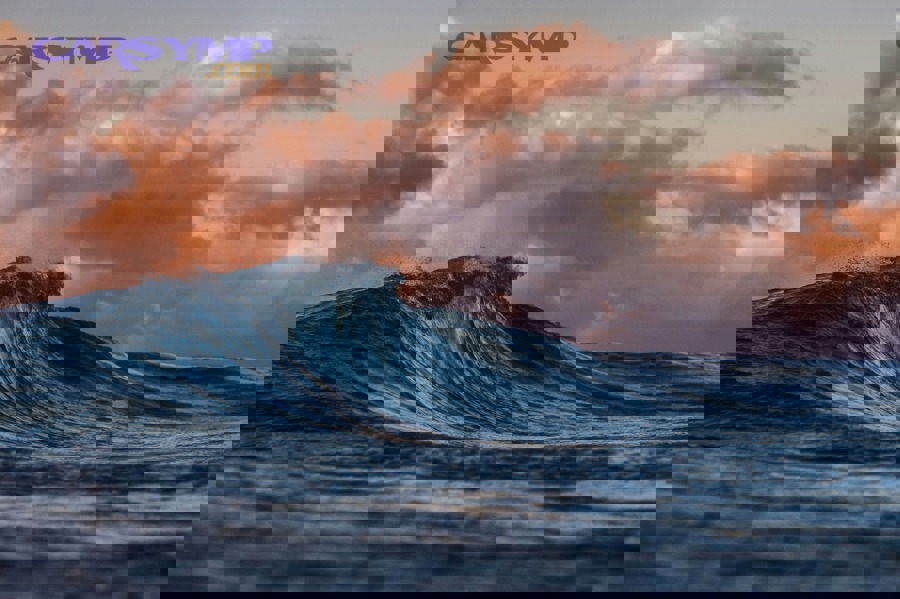 comparison of alkaline and lithium batteries next to digital thermostat