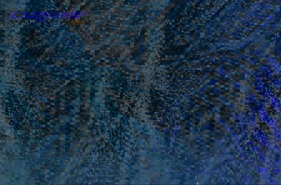 photo 1590859808308 3d2d9c515b1a