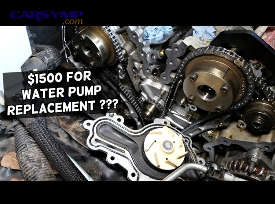 automotive water pump assembly