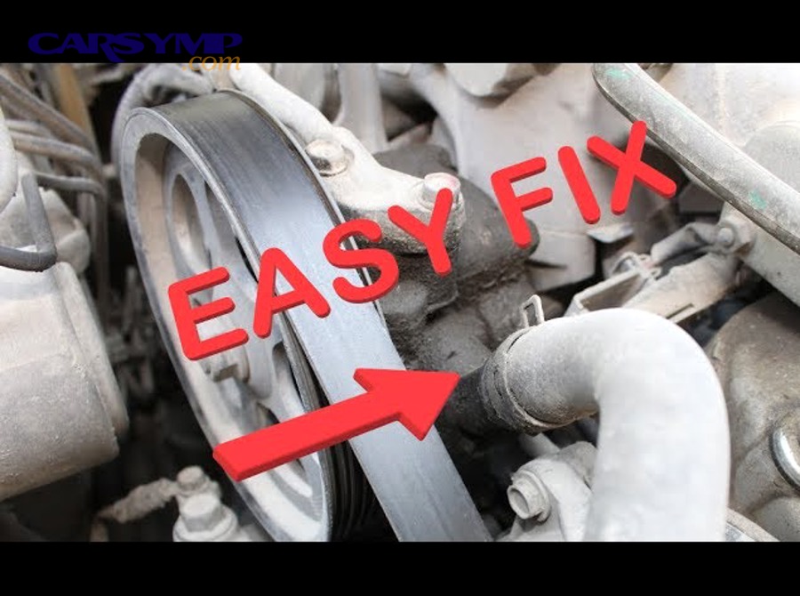 Can you tell the difference between power steering pump whine and alternator whine without special tools?