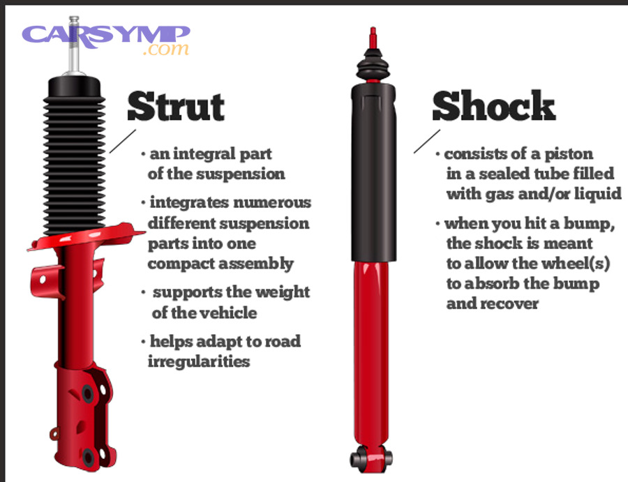 What Are Struts?