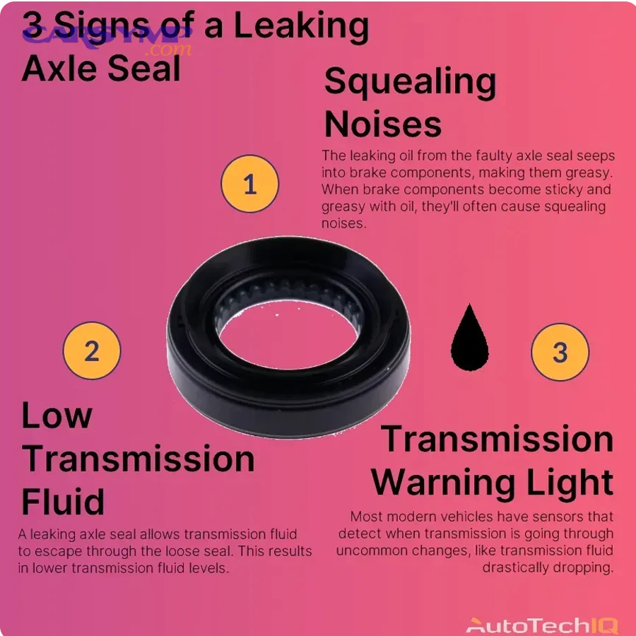 signs of a leaking axle seal