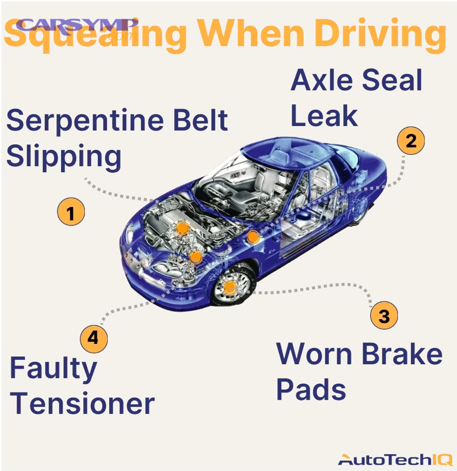 Power steering system showing fluid reservoir and components that cause squeaking when turning