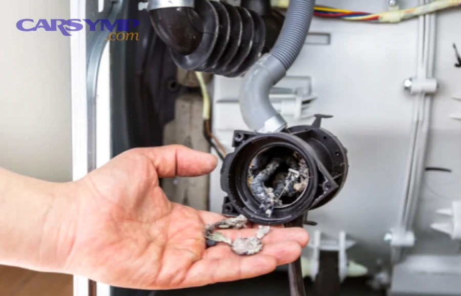 Car engine bay showing cooling system components and water pump area